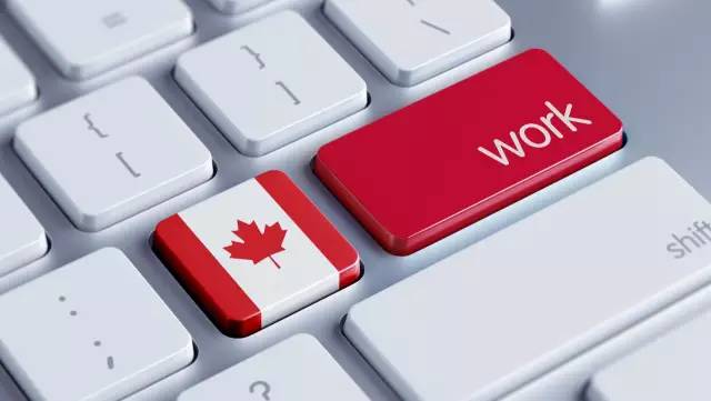 Có những cách nào để có được giấy phép lao động hợp pháp tại Canada?